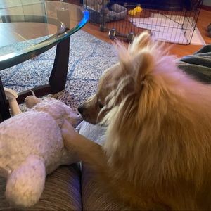 Meet your Posher, Mona